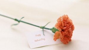 母亲节2023年是几月几日