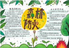 森林防火手抄报图片及内容简单又漂亮（精选6张
