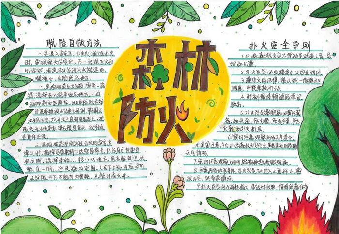 森林防火手抄报图片及内容简单又漂亮