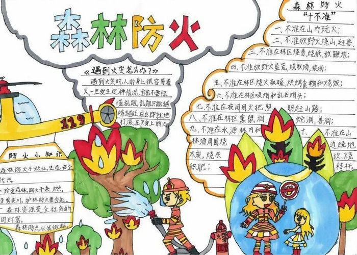 森林防火手抄报图片及内容简单又漂亮
