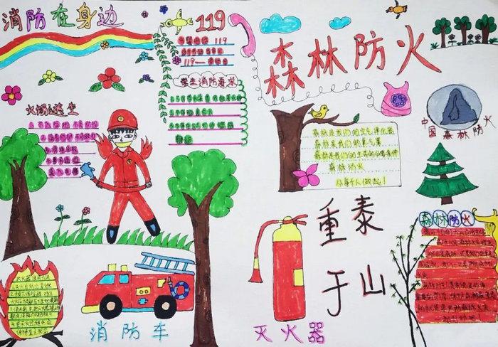 森林防火手抄报图片及内容简单又漂亮