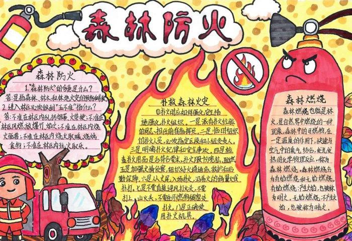 森林防火手抄报图片及内容简单又漂亮