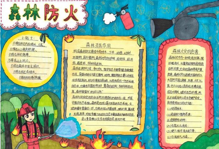 森林防火手抄报图片及内容简单又漂亮