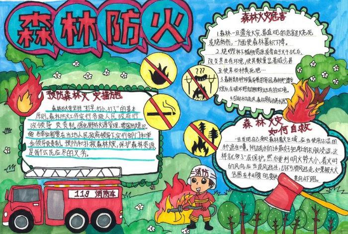 森林防火手抄报图片及内容简单又漂亮