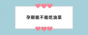 孕期能不能吃油菜
