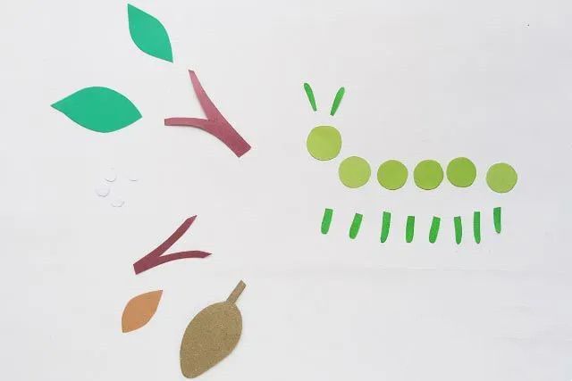 毛毛虫变蝴蝶的过程手工制作简单(步骤图解)