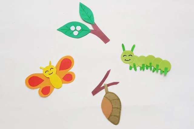 毛毛虫变蝴蝶的过程手工制作简单(步骤图解)