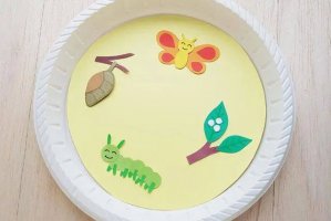 毛毛虫变蝴蝶的过程手工制作简单(步骤图解)