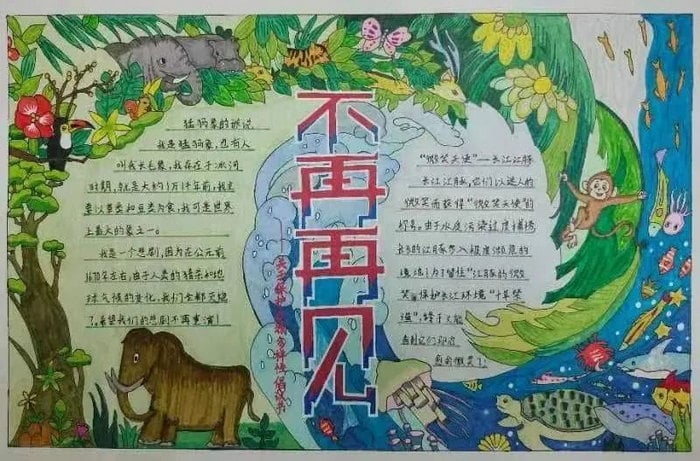 关于生物多样性手抄报图片及内容