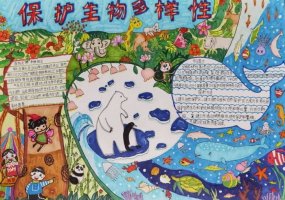 关于生物多样性手抄报图片及内容（精选12张）