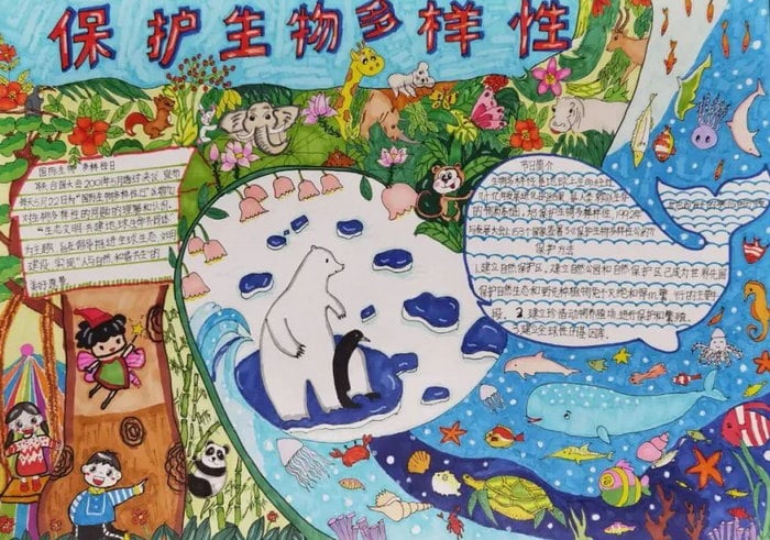 关于生物多样性手抄报图片及内容