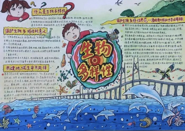 关于生物多样性手抄报图片及内容