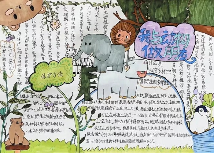 关于生物多样性手抄报图片及内容