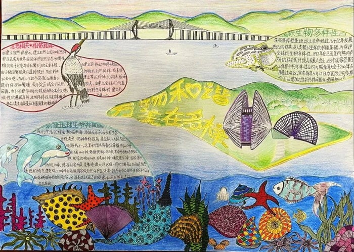 关于生物多样性手抄报图片及内容