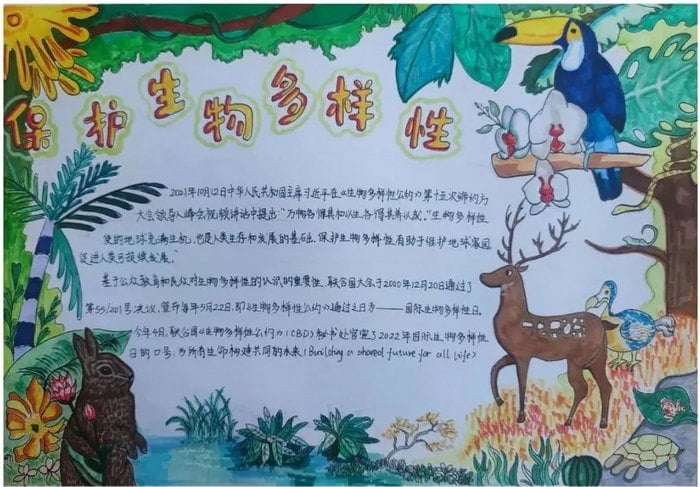 关于生物多样性手抄报图片及内容
