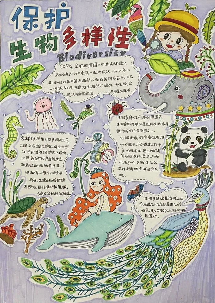 关于生物多样性手抄报图片及内容