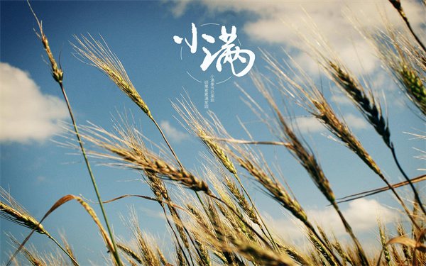 18首关于小满的古诗词