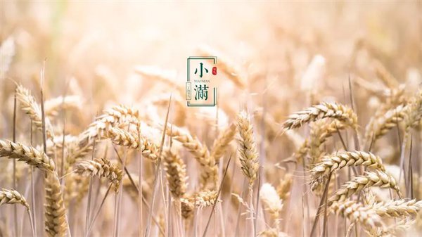 18首关于小满的古诗词