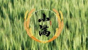 18首关于小满的古诗词
