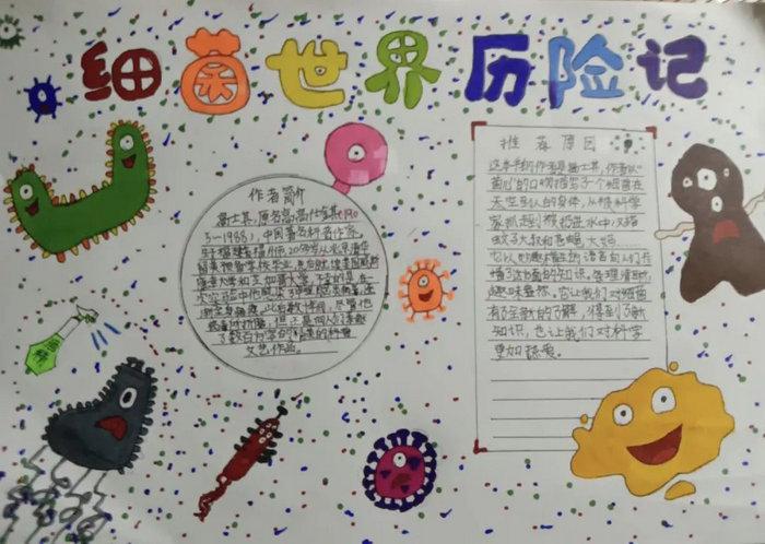 好书推荐手抄报简单漂亮