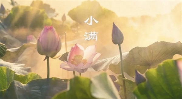 元淮《小满》古诗原文带拼音版