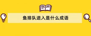 鱼排队进入是什么成语