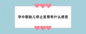 孕中期胎儿停止发育有什么感觉