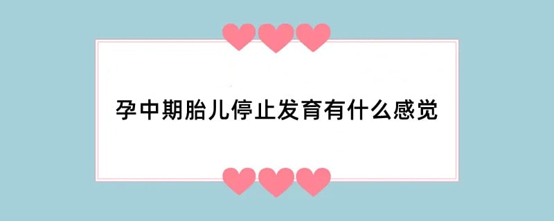 孕中期胎儿停止发育有什么感觉