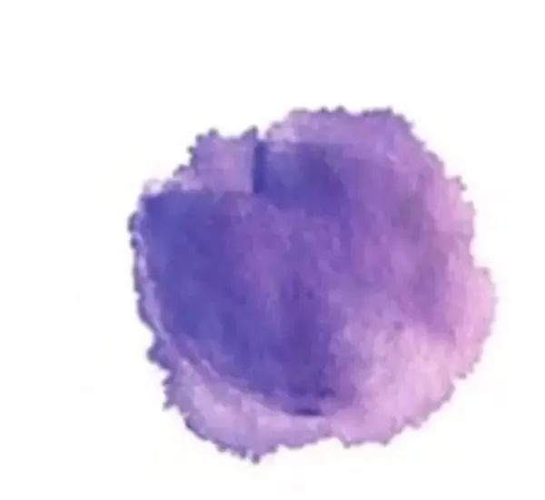 紫藤花少儿写意国画绘画教程