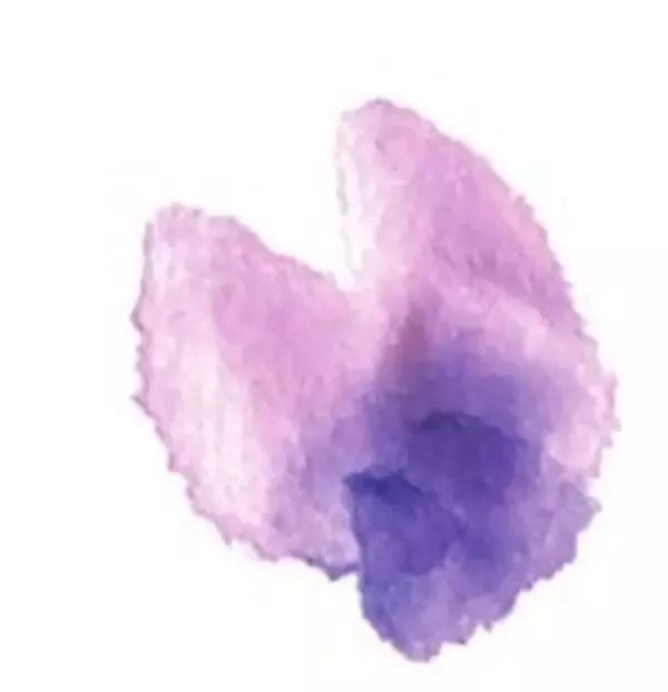 紫藤花少儿写意国画绘画教程