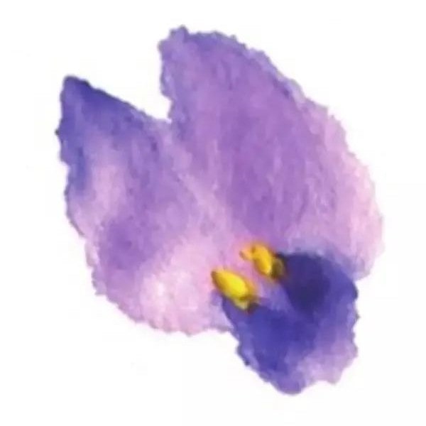 紫藤花少儿写意国画绘画教程