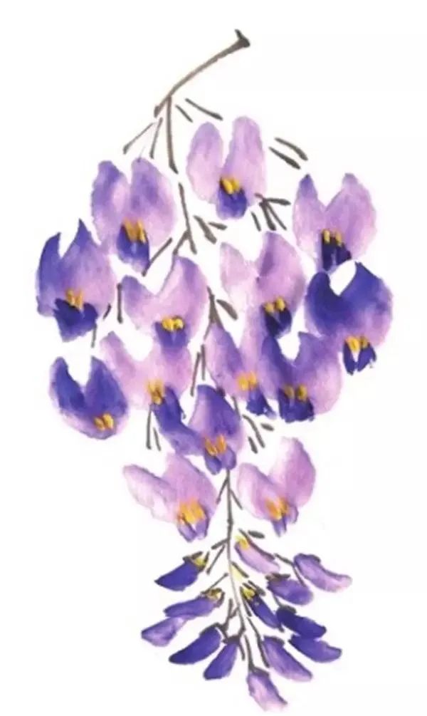 紫藤花少儿写意国画绘画教程