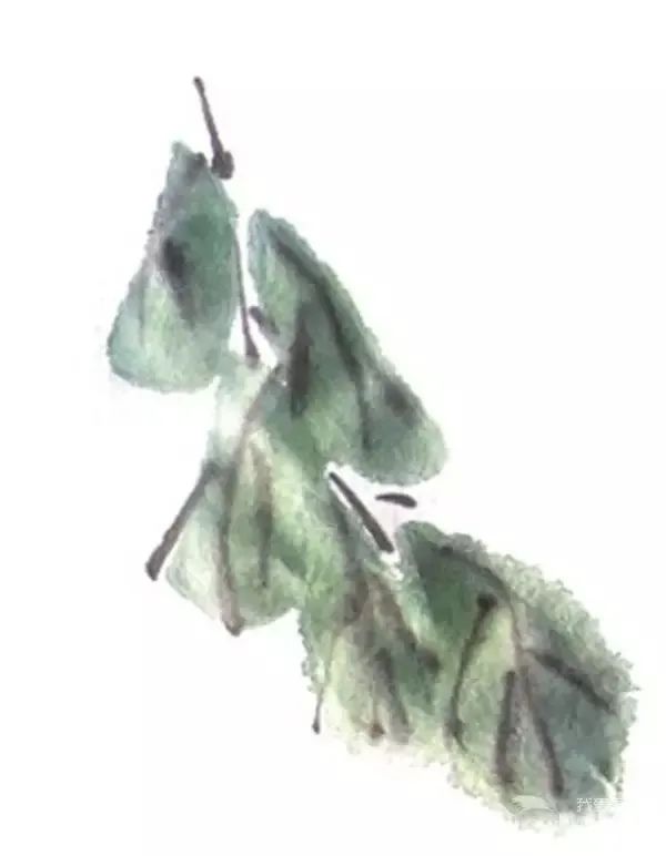 紫藤花少儿写意国画绘画教程