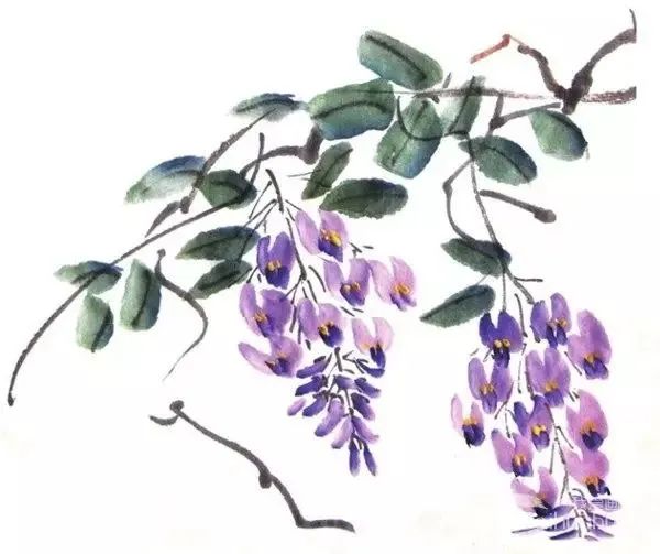 紫藤花少儿写意国画绘画教程