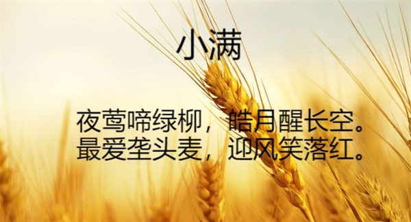 欧阳修小满古诗原文带拼音版 寓意及赏析