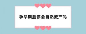 孕早期胎停会自然流产吗