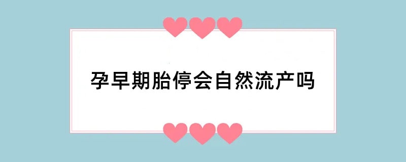孕早期胎停会自然流产吗