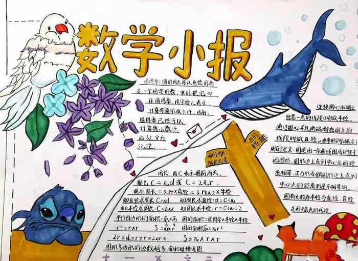 小学六年级数学手抄报图片
