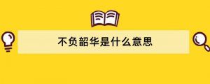 不负韶华是什么意思?