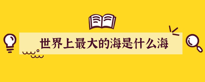 世界上最大的海是什么海