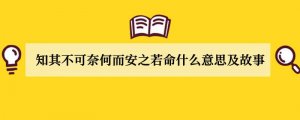 知其不可奈何而安之若命什么意思及故事