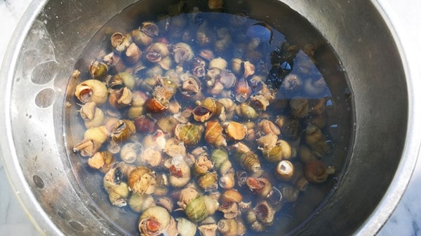 螺丝怎么吐泥沙最快最干净