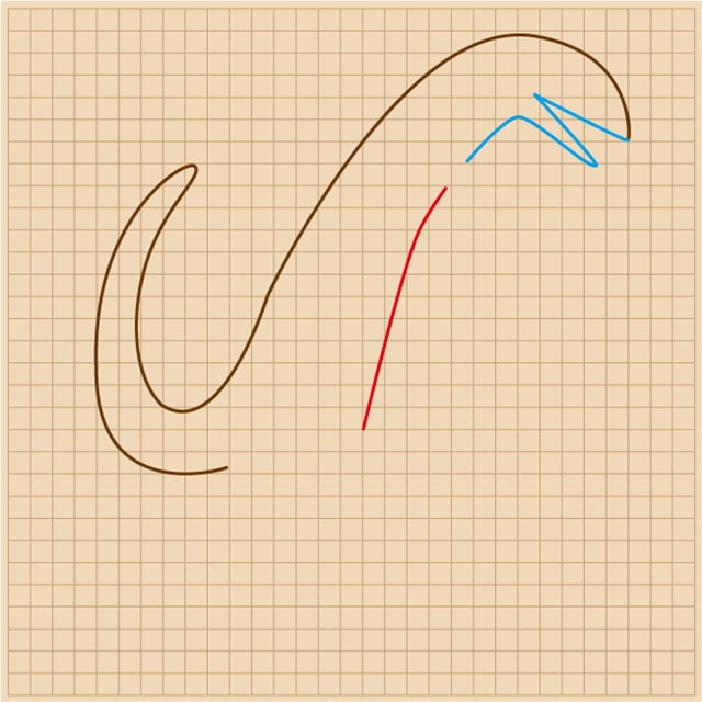 我是霸王龙简笔画图片教程