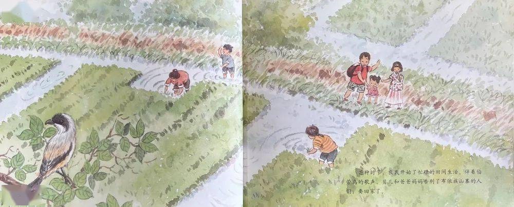 芒种节气的绘本故事《芒种·百家宴》