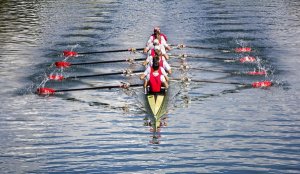 幼儿园端午节活动方案：龙舟大冲浪