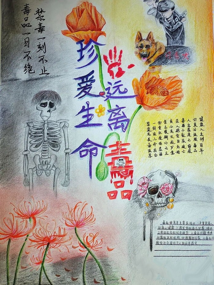 简单的远离毒品手抄报图片