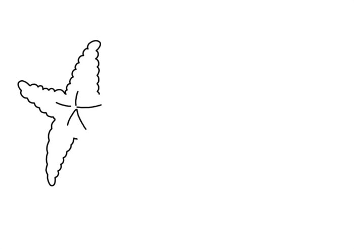 海星与柠檬简笔画步骤图片