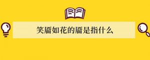 笑靥如花的靥是指什么