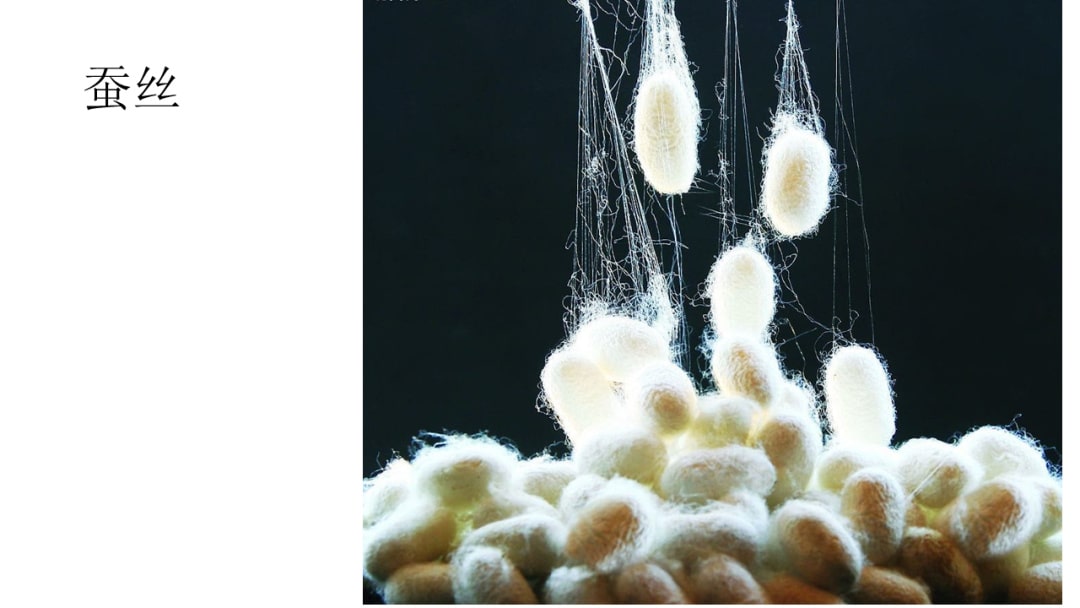 幼儿园大班社会教案：蚕丝真美丽