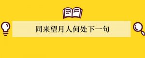 同来望月人何处下一句